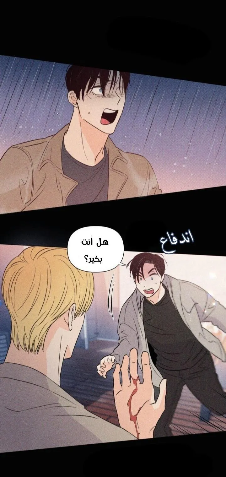 أقتل الأضواء – الفصل 23 page 36